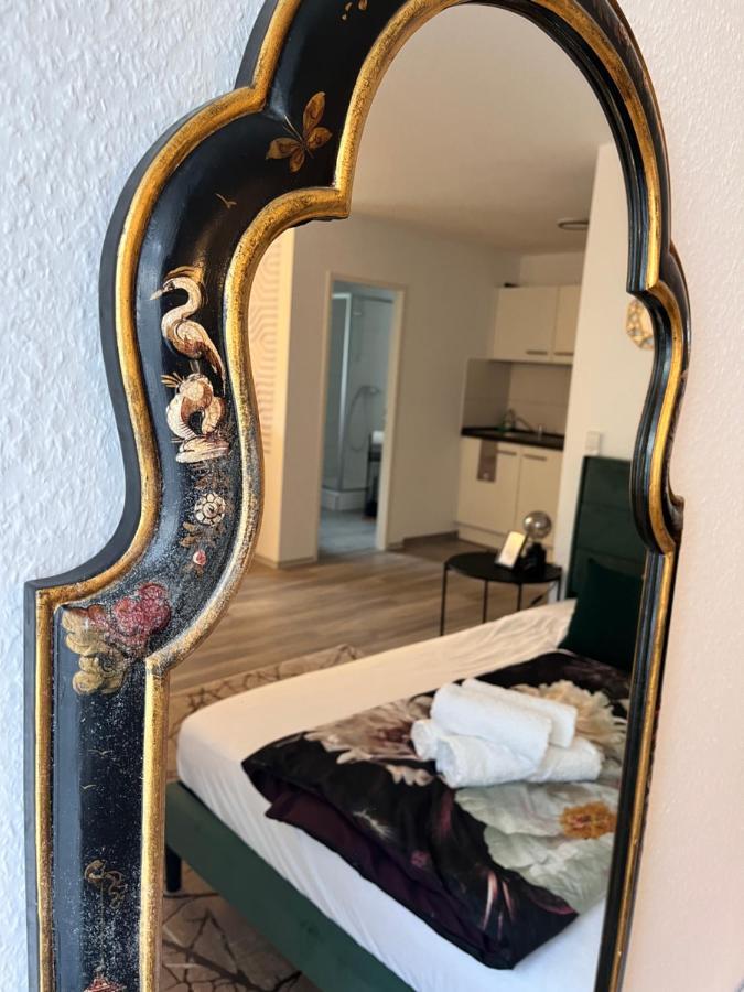Am Klinikum, Naehe Europa Park Und Strasbourg, Zentrumsnah Ofemburgo Exterior foto